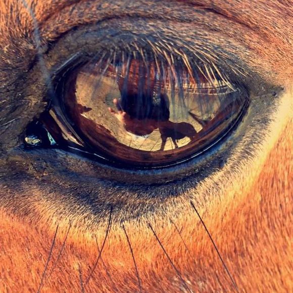 Meet your Posher, Kaelanne - Picture 1 of 1